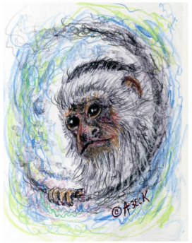 Warp Monkey art bt Alan F. Beck